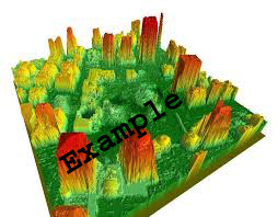 DSM - Digital Surface Model-View Details