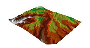TIN